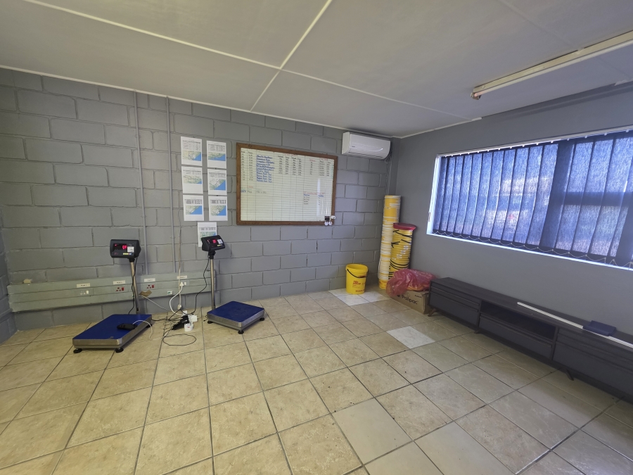 To Let Commercial Property for Rent in Beacon Bay North Eastern Cape